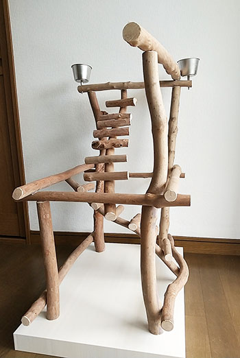 バードジムno500 インコの憩いの場