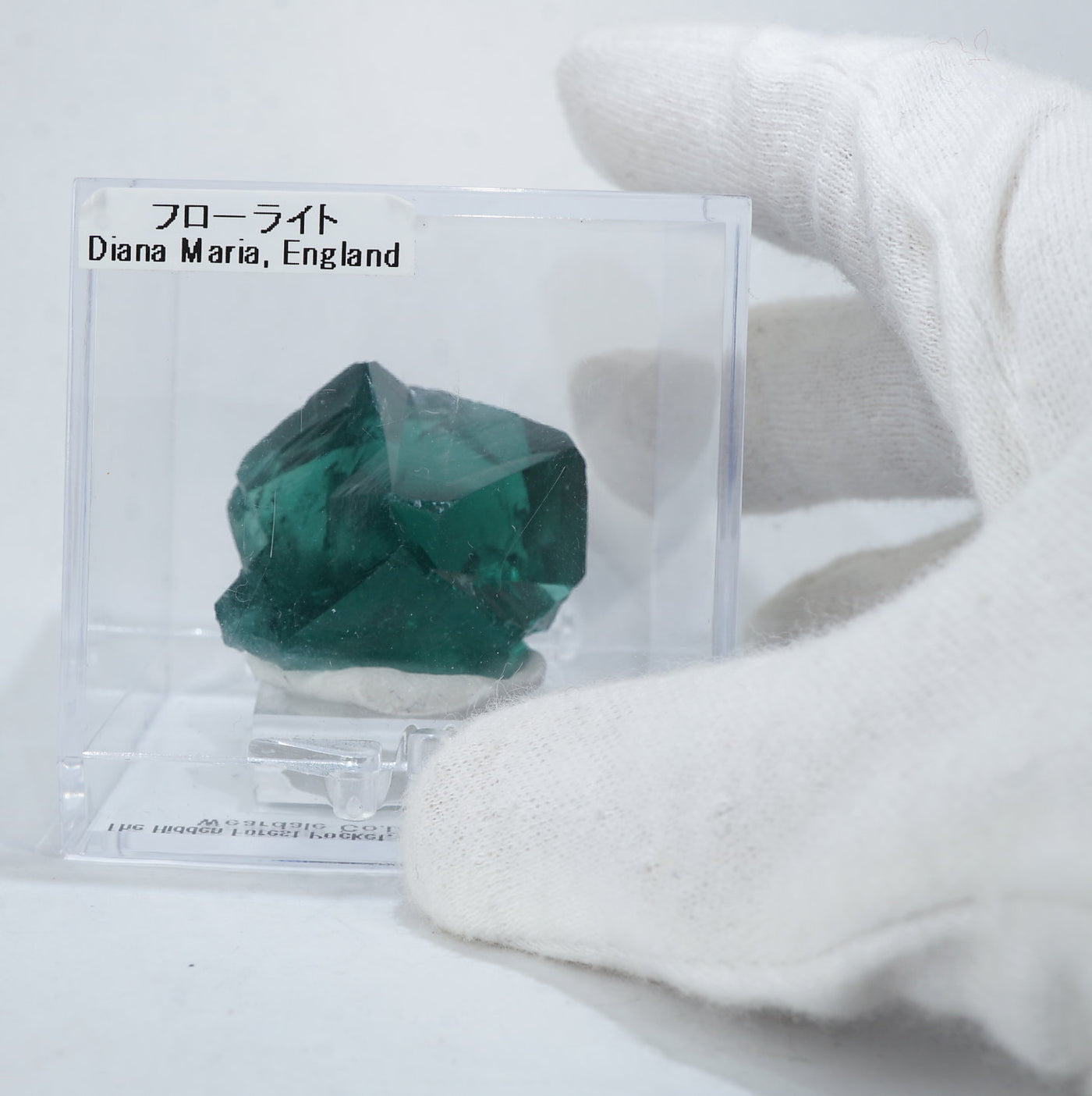 イギリス Diana Maria Mine ダイアナマリア鉱山 (The Hidden Forest