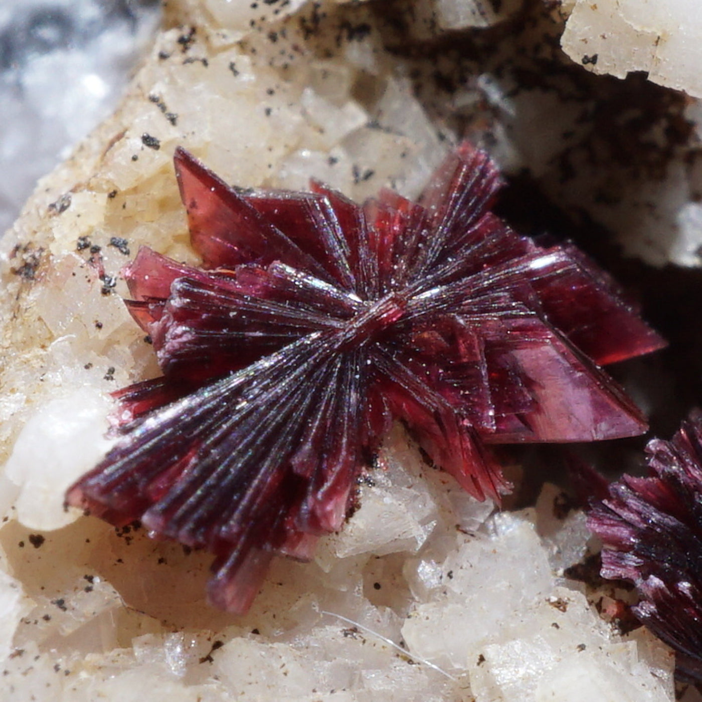 モロッコ産 エリスライト(コバルト華) – 天然石ハッピーギフト