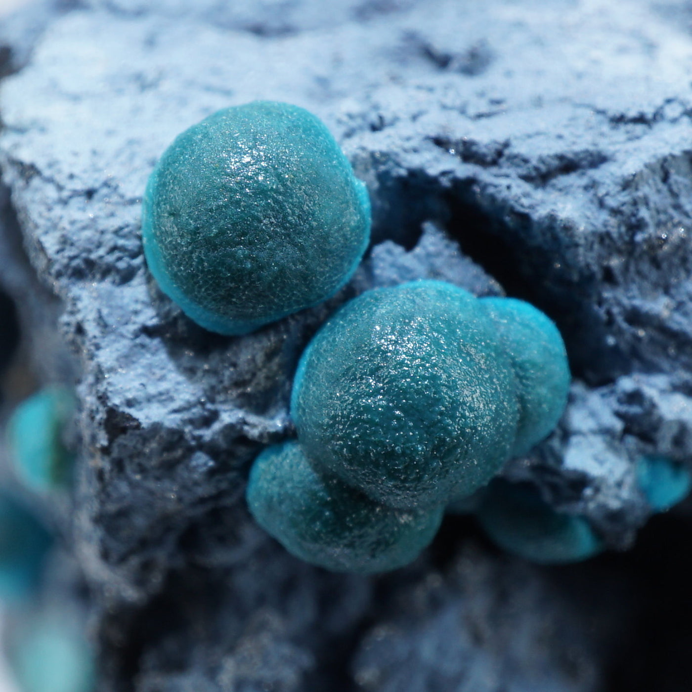 アリゾナ州産 クリソコラ – 天然石ハッピーギフト