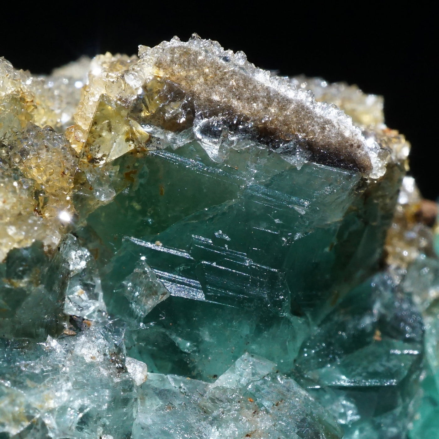 Diana Maria Smoky Rabbit Pocket フローライト Diana Maria Smoky