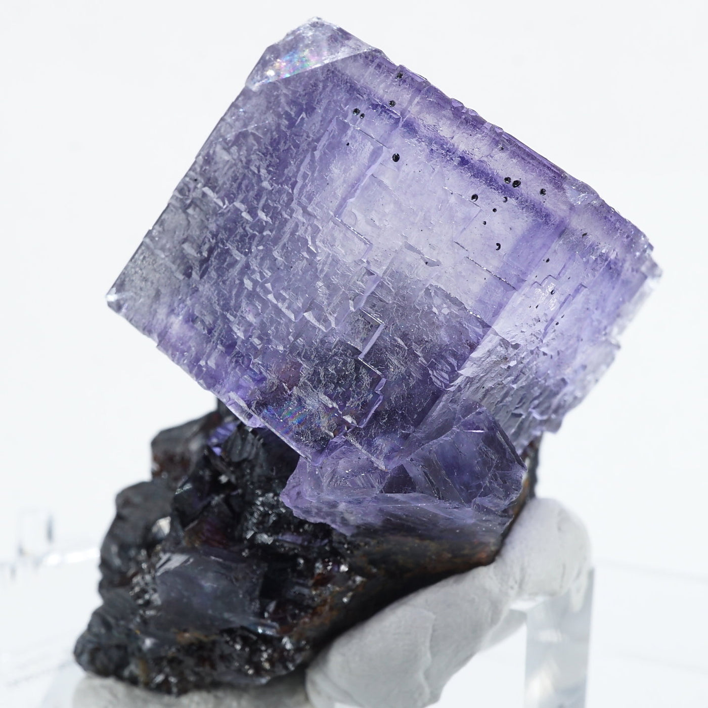 コレクターズアイテムエルムウッドフローライト エルムウッド鉱山