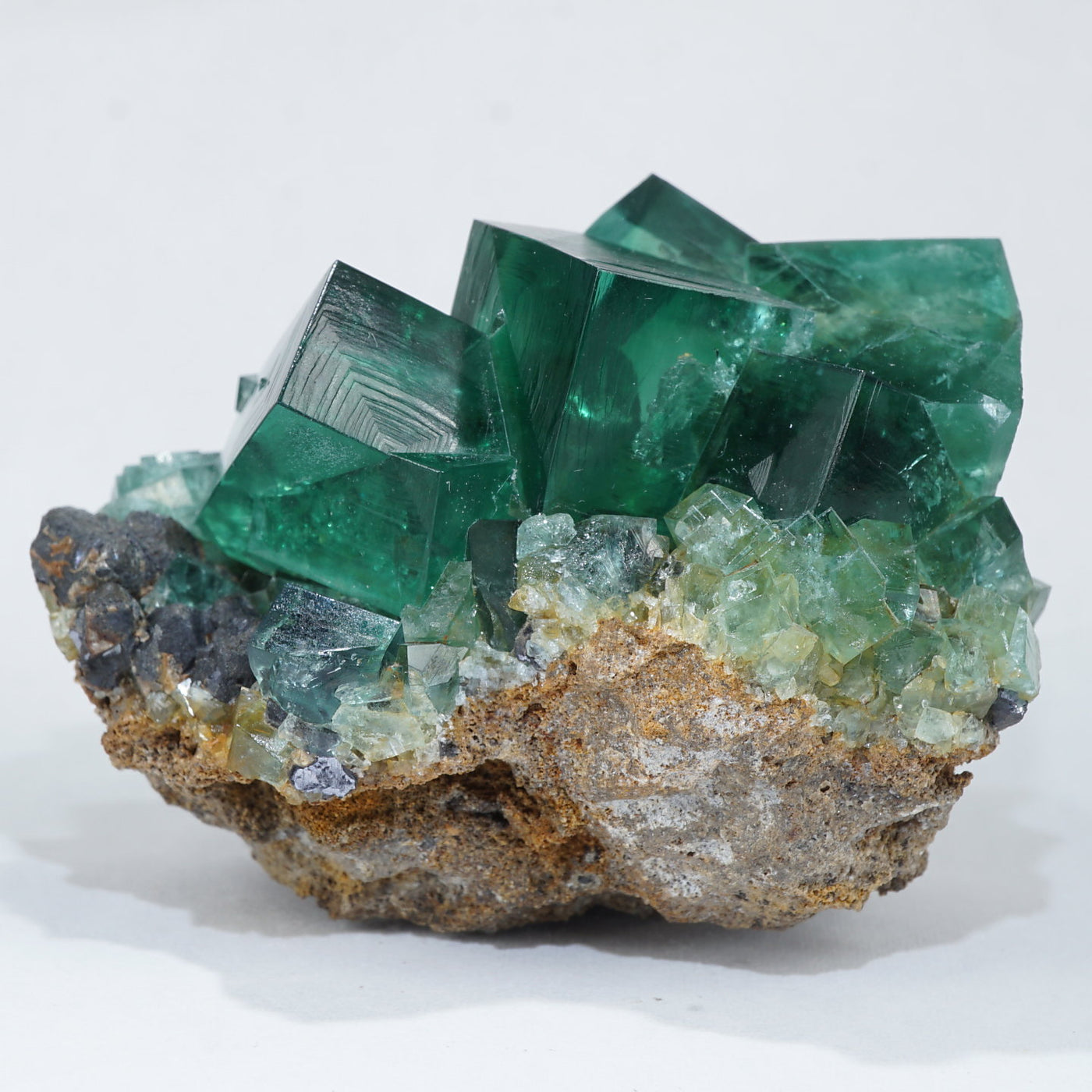 136 UK ロジャリー鉱山 50-Year Pocket フローライト 【公式通販】