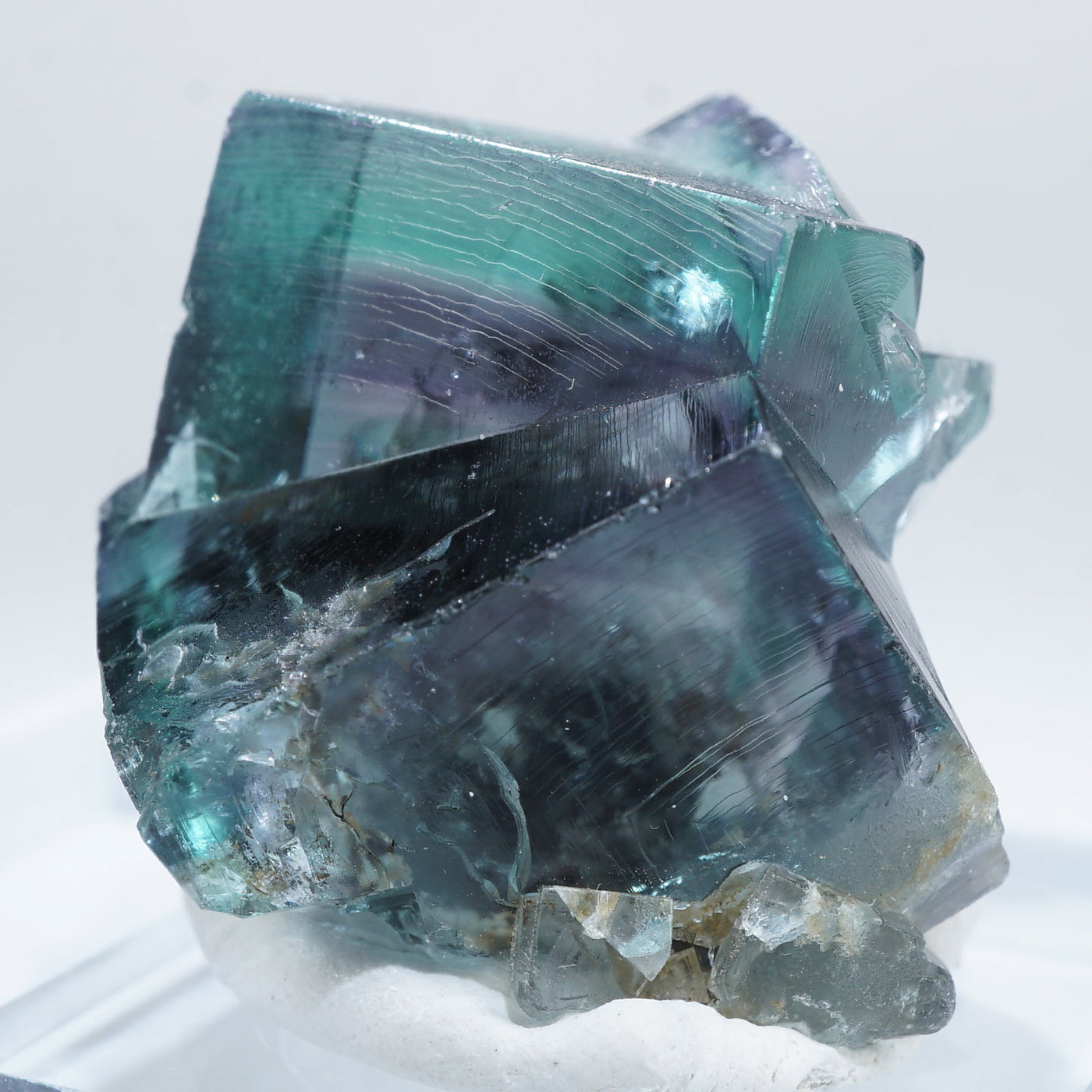 イギリスFairy Holes Pocket Lady Annabella(レディアナベラ) Mine産