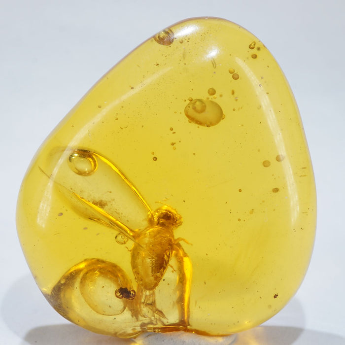 虫入り 琥珀」の人気商品一覧 | 安い商品を通販サイトから探す - 価格