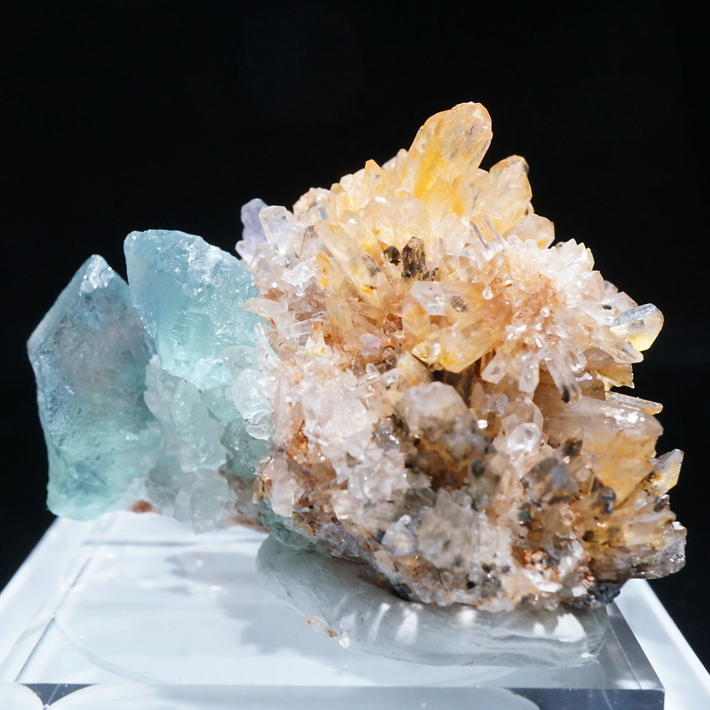 古伊万里 伊万里 染付 江戸期 大名 菓子皿 楕円皿 蔵出し 10客 古