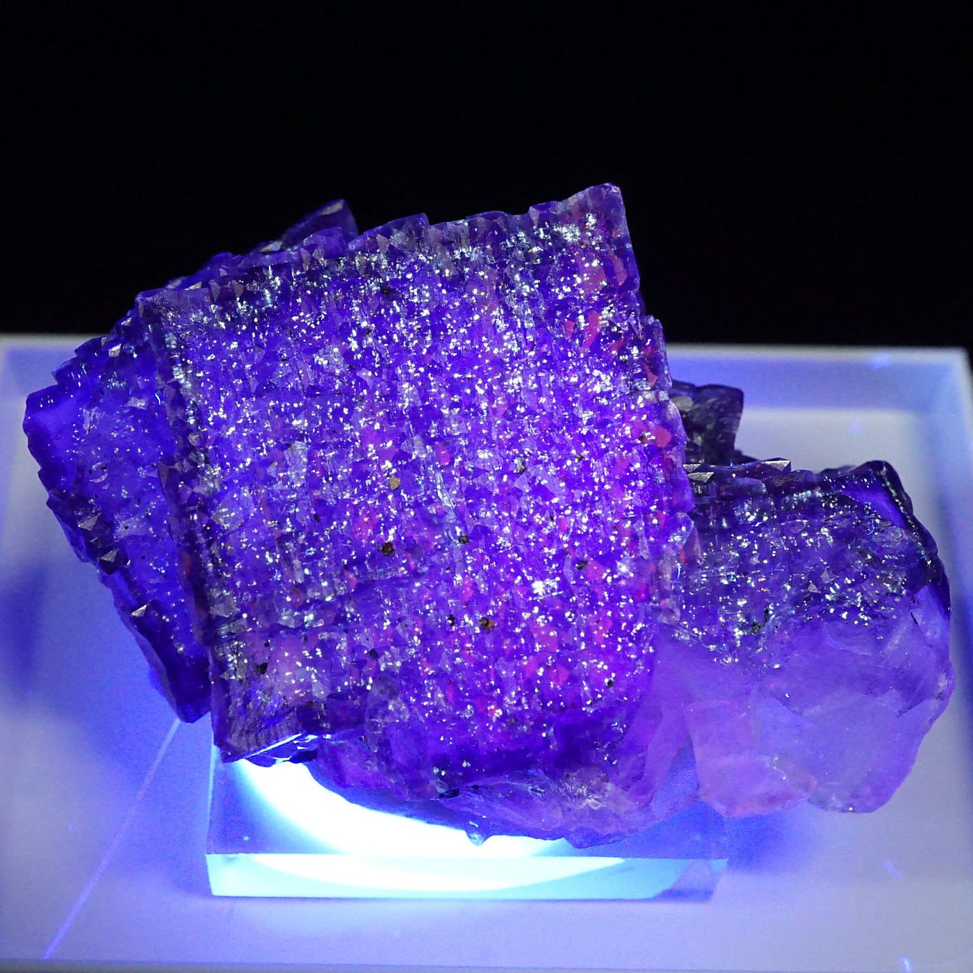 エルムウッド フローライト 1499 天然石 原石 鉱物標本 鉱石 蛍石