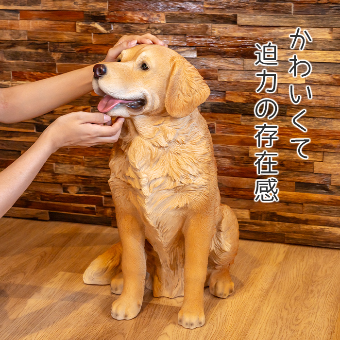 お座りして待てするわんこ《 ゴールデン・レトリバー（52.5cm