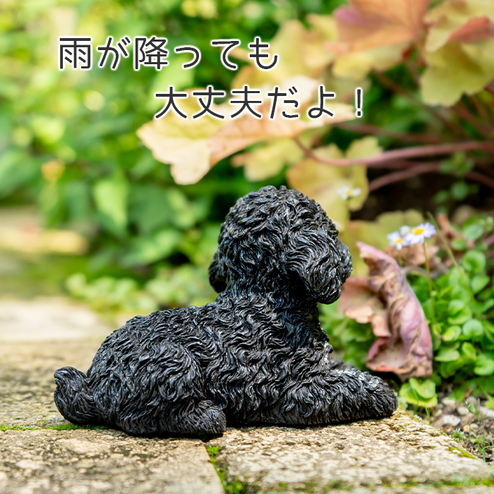 伏せして見上げるわんこ《 トイプードル 黒 11cm》 – ガーデン用