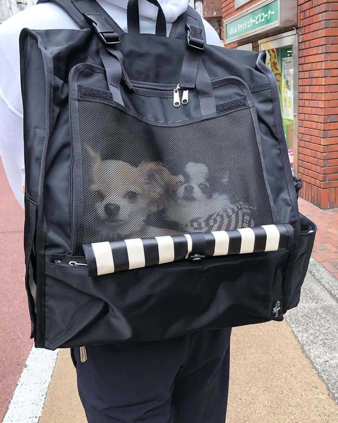 ミスターバックマン｜高品質なペットキャリーバッグで愛犬と快適