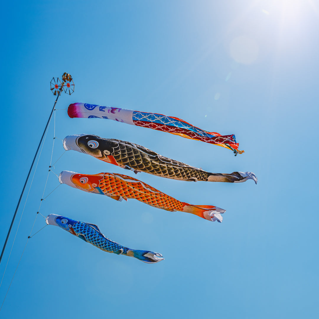 菜花雲雀図】深田直城 2598 菜の花ひばり 共箱 掛け軸 肉筆 【公式通販】