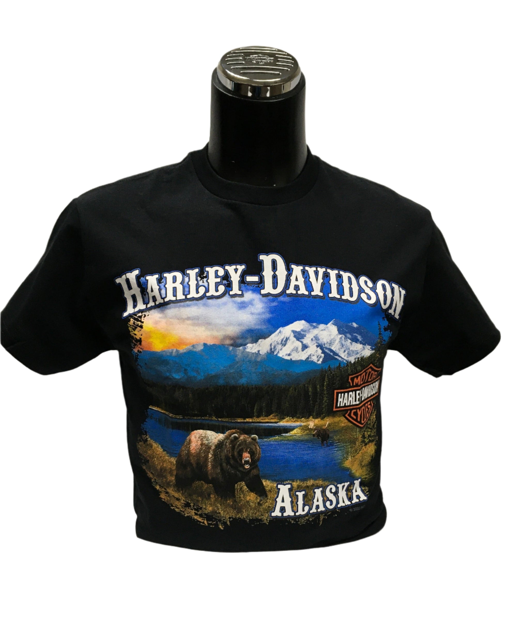 HOUSE OF HARLEY-DAVIDSON BEAR & LAKE SHORT-SLEEVE T-SHIRT – Harley