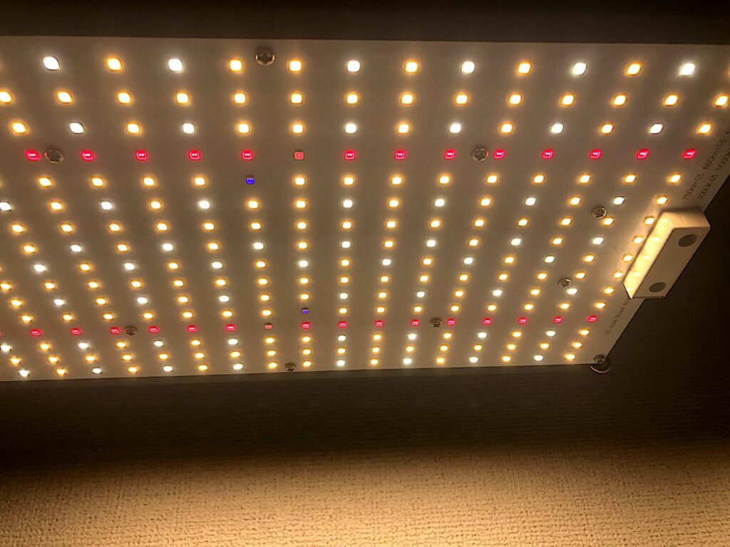 EnFun 植物育成パネルLED｜アガベに2年間使用してみた | トゲラボ