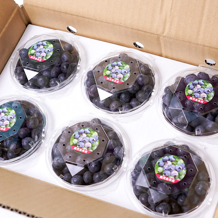 自社農園 採れたてブルーベリー 100g×6パックの通販商品 | 長命