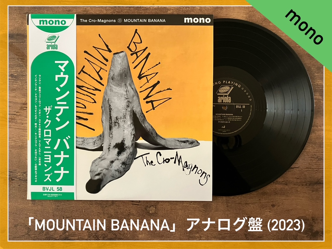 ザ・クロマニヨンズ MOUNTAIN BANANA ジャケット Mサイズ ザ