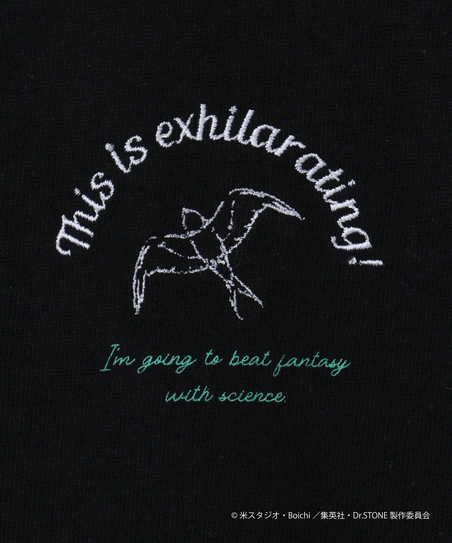 Dr.STONE（ドクターストーン）_HICUL（ハイカル）オリジナル