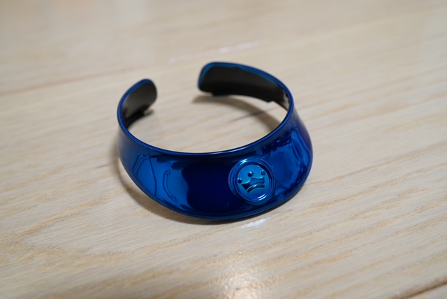 aibo プレミアムプラン 2025 ターコイズブルー 首輪 aibo プレミアム