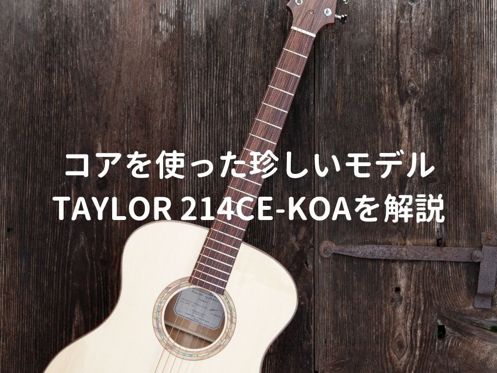 Taylor 214ce-Koa SB ギターケースピックカポ付き