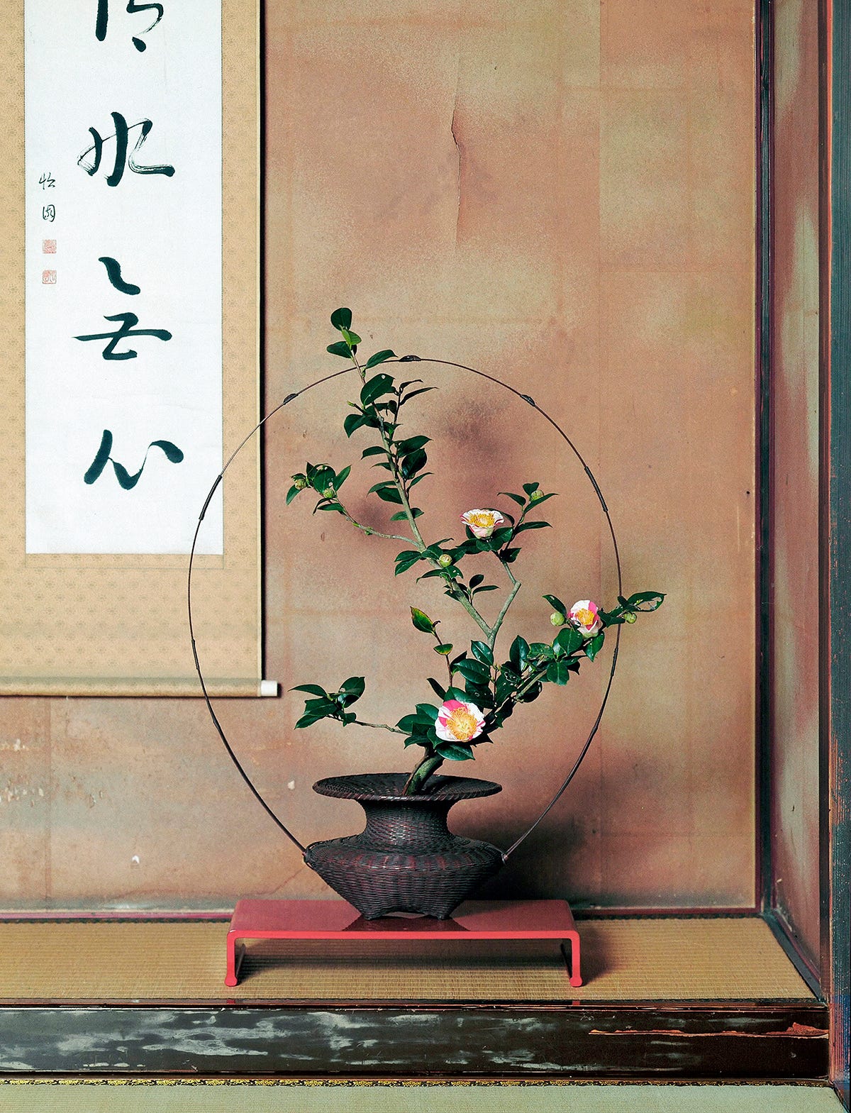 11月 家元のいけばな 肥後の名花をいける