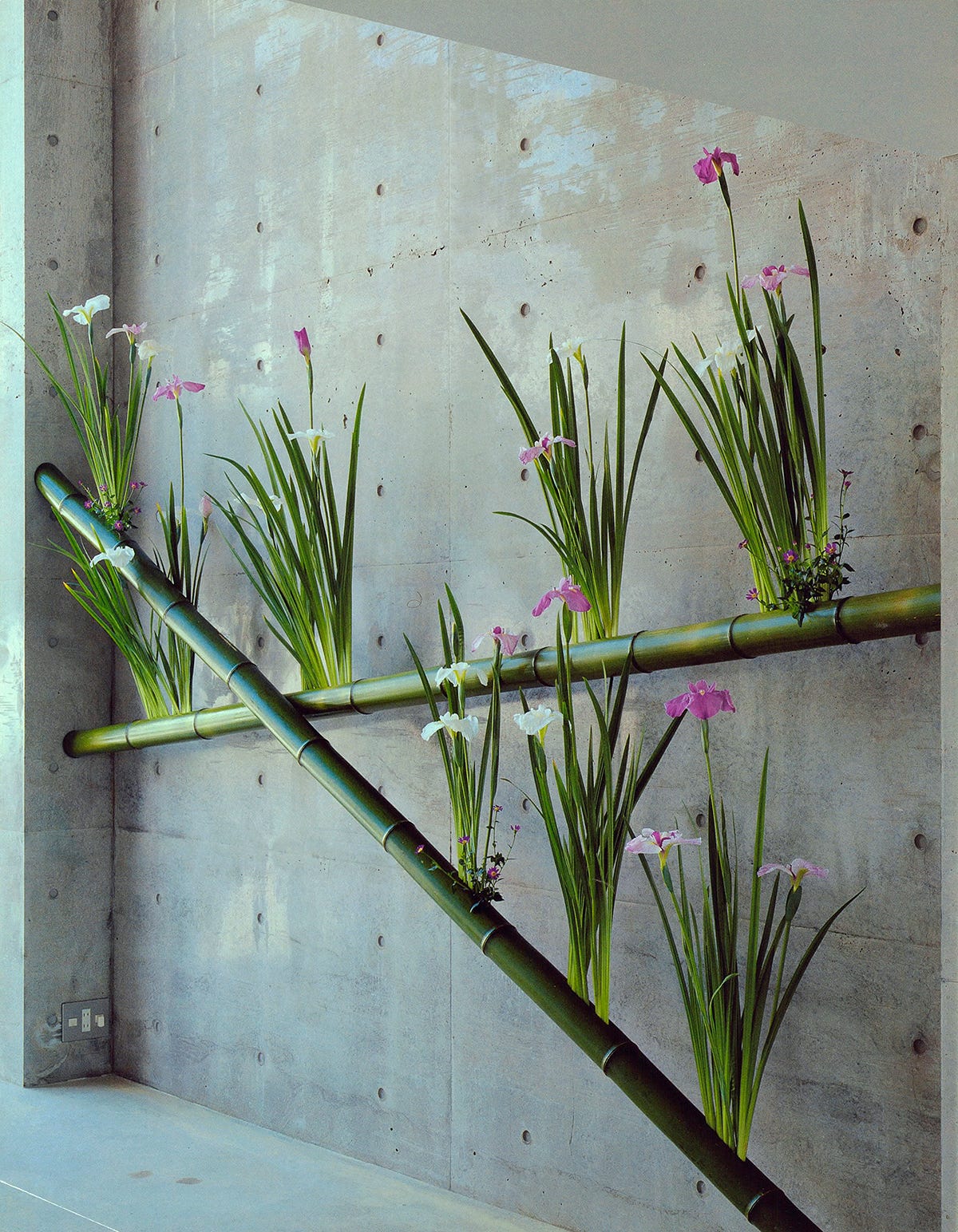 竹筒型 菖蒲花象嵌 掛花 江戸時代物 【公式通販】