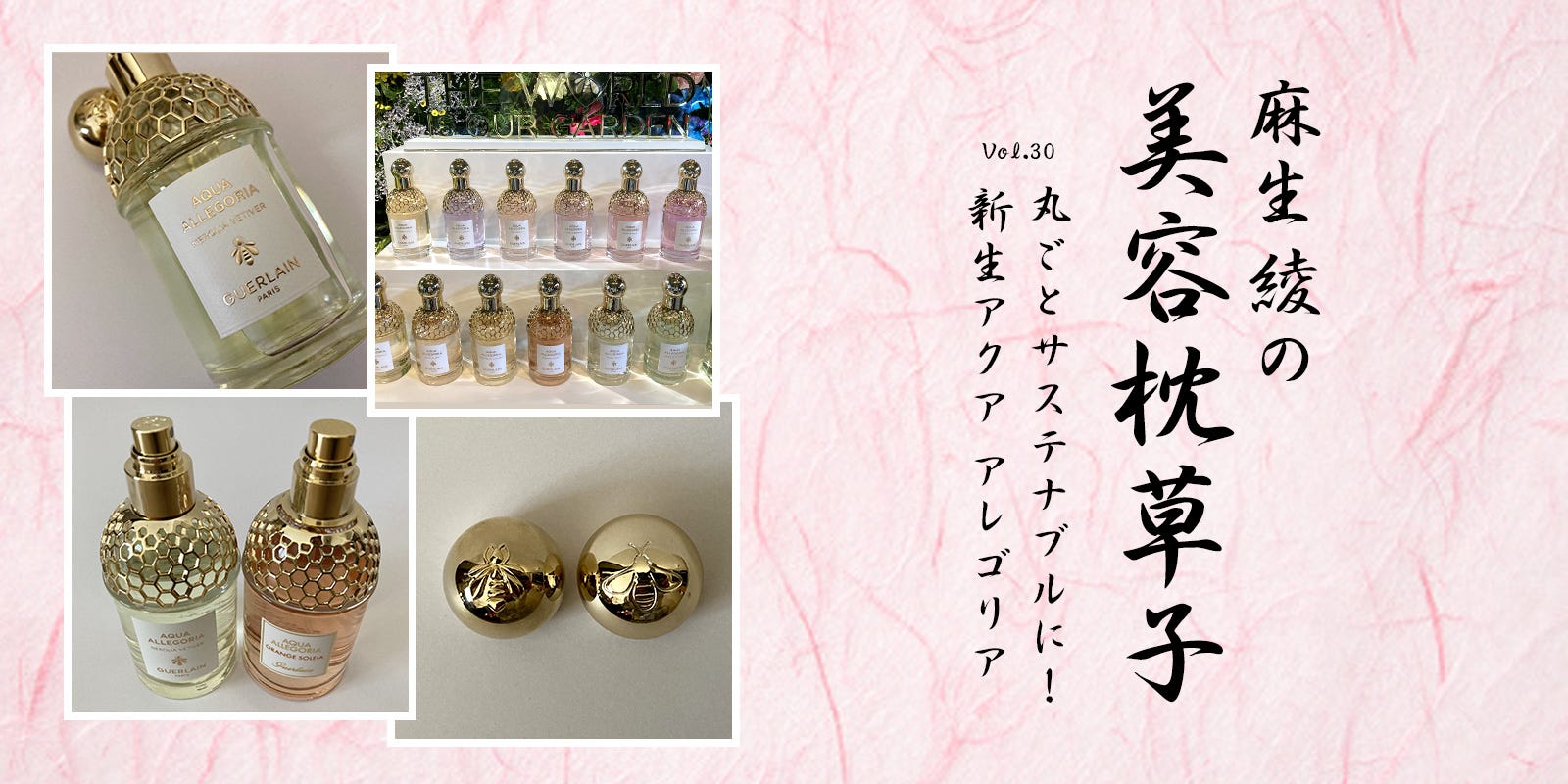 廃盤未使用ADA Do!aquaプラントグラス・オアシス レアコレ