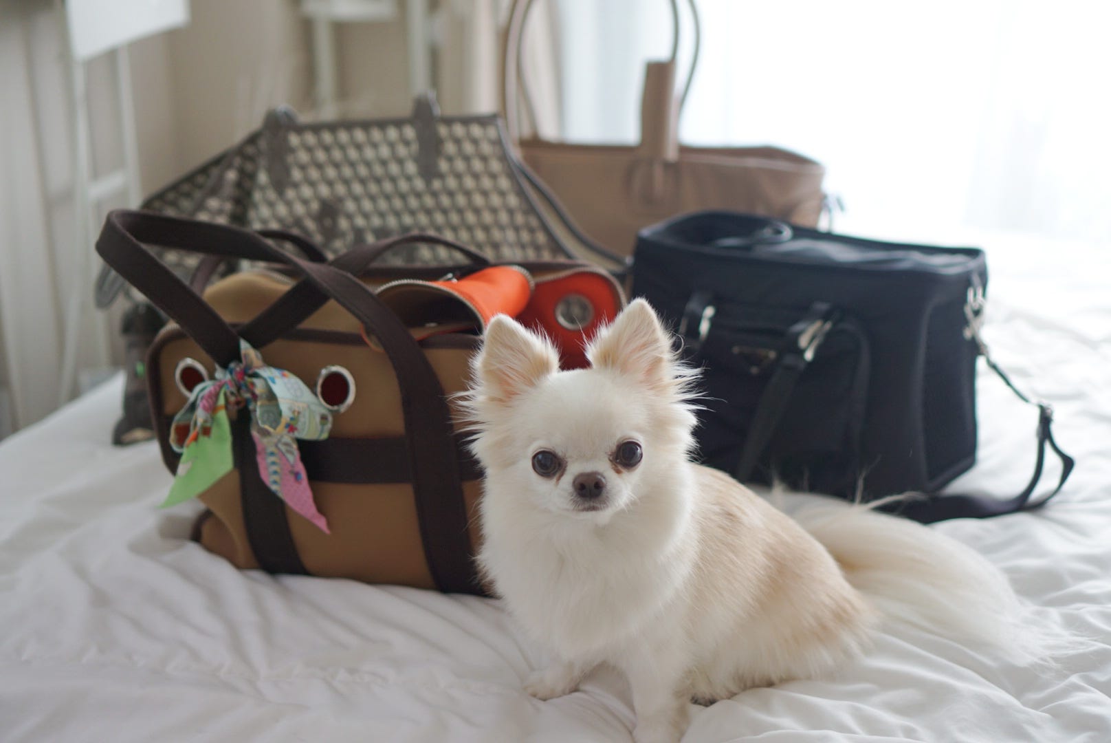 dsc01539-6891a7130f96f.jpg?