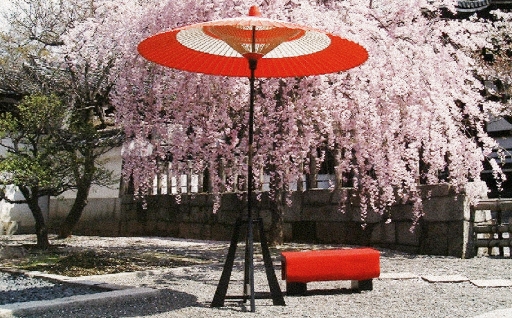 A49 野点傘一式 傘 スタンド 木製傘立 三点 木製傘立 井波製