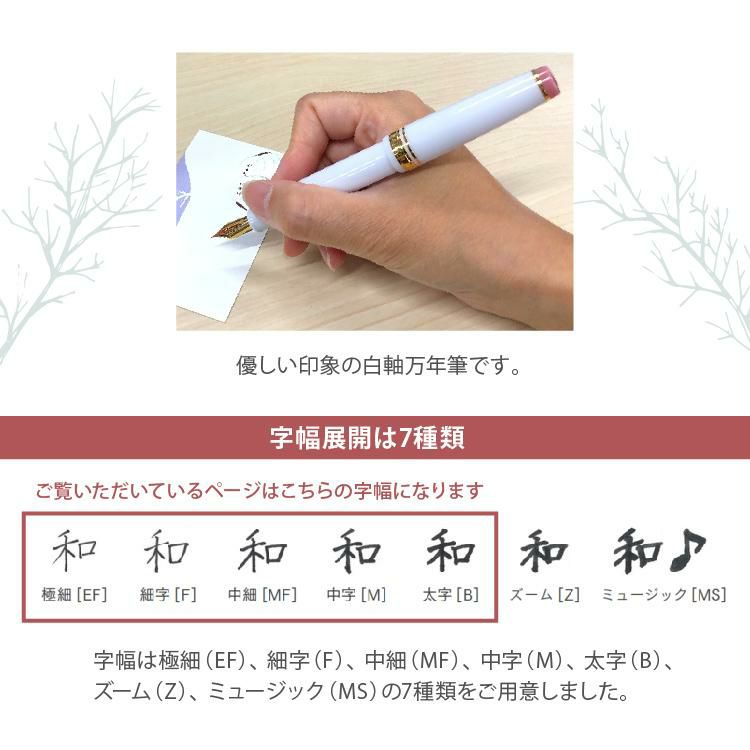 希少】Sailor 万年筆 「春を待つシマエナガ」 限定200本 セーラー