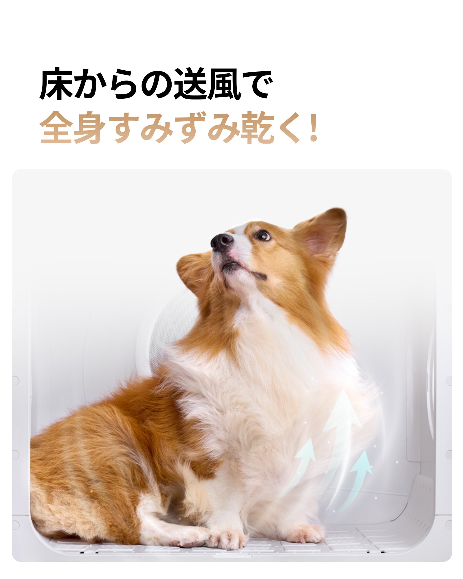 業界初の135L】ペットドライヤーハウス Drybo Ultra 20kgまでの中小型