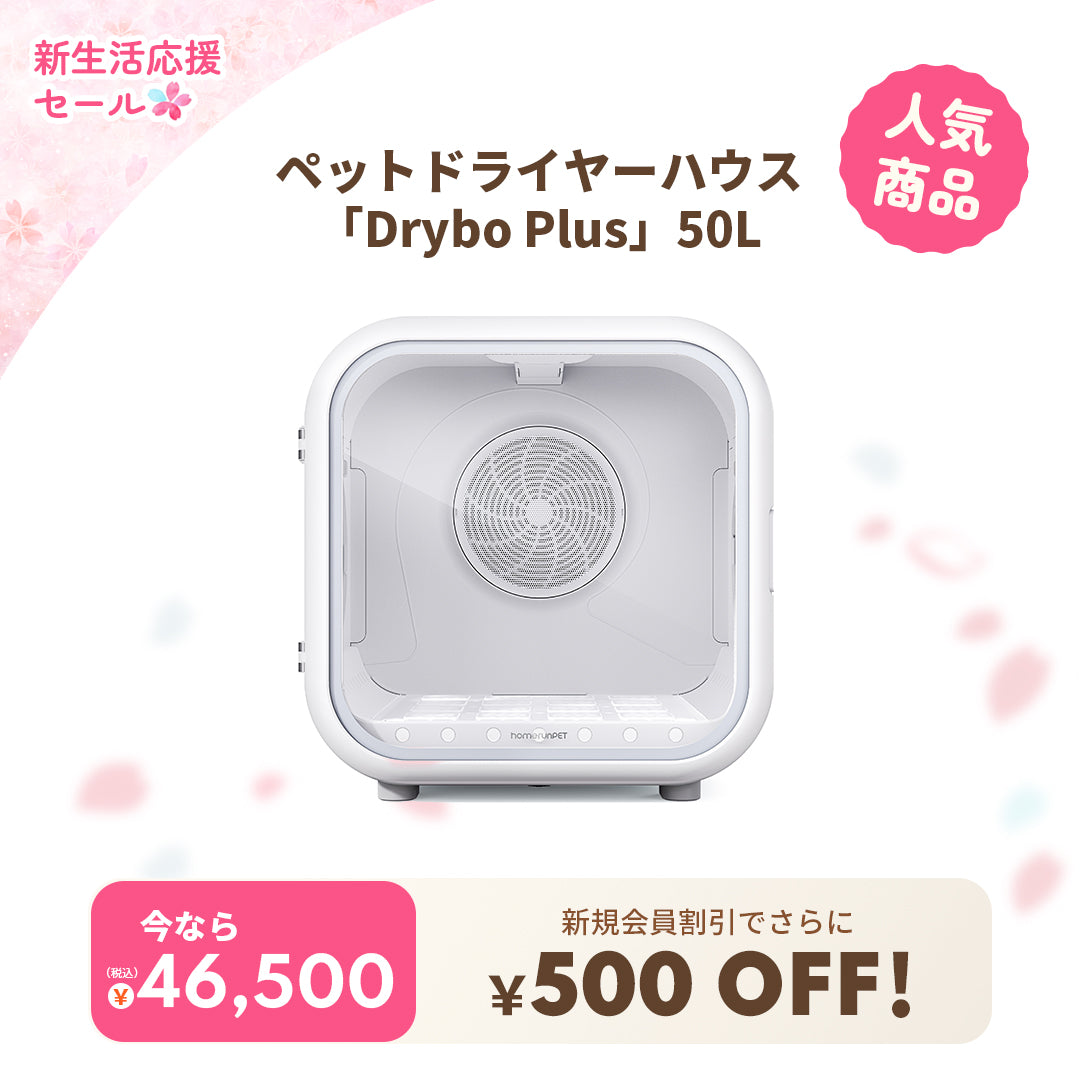 超美品 ホームランペット 自動箱型ペットドライヤー Drybo Plus ペット