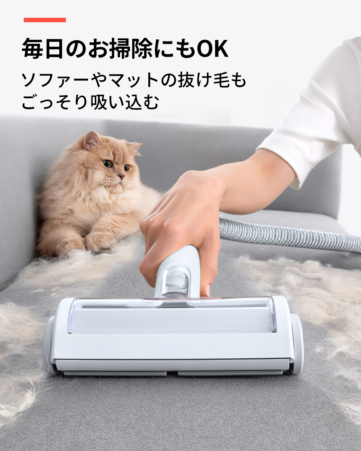 公式パートナー専用価格】homerunPET ペットグルーミングキット