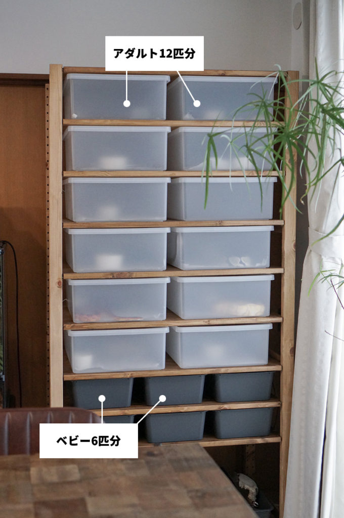 ☆調整式5段ブリーダーラック 爬虫類 レオパ ニシアフ☆ スネーク