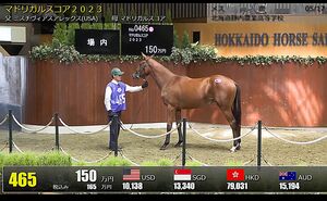 馬のある静物2 馬のある静物2 馬のある静物2 21世紀の名馬VOL.2