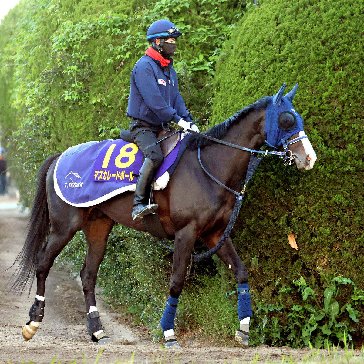 再値下げしました。馬場重臣作南円堂の月 ジャパンC】マスカレード