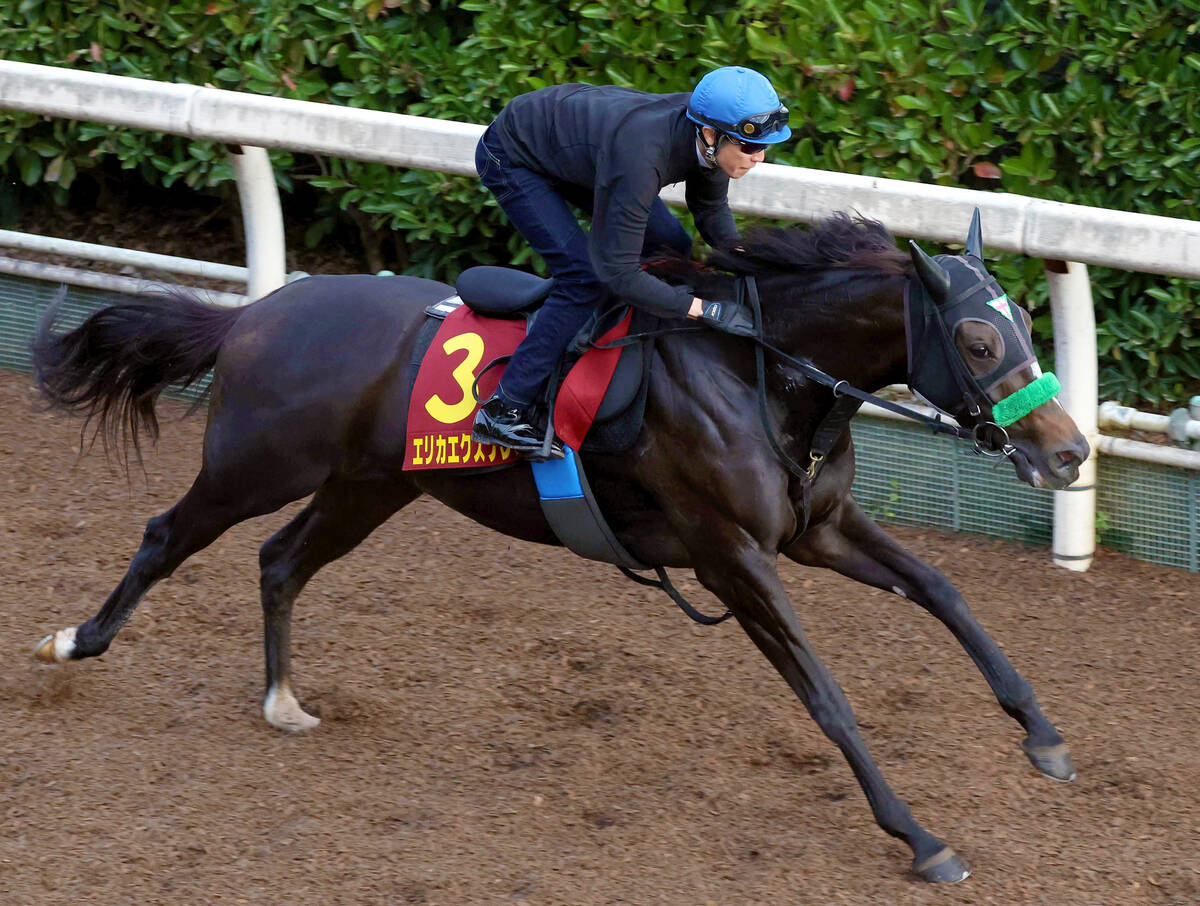 秋華賞】武豊騎手が初コンタクトでエリカエクスプレスに好感触「思っ