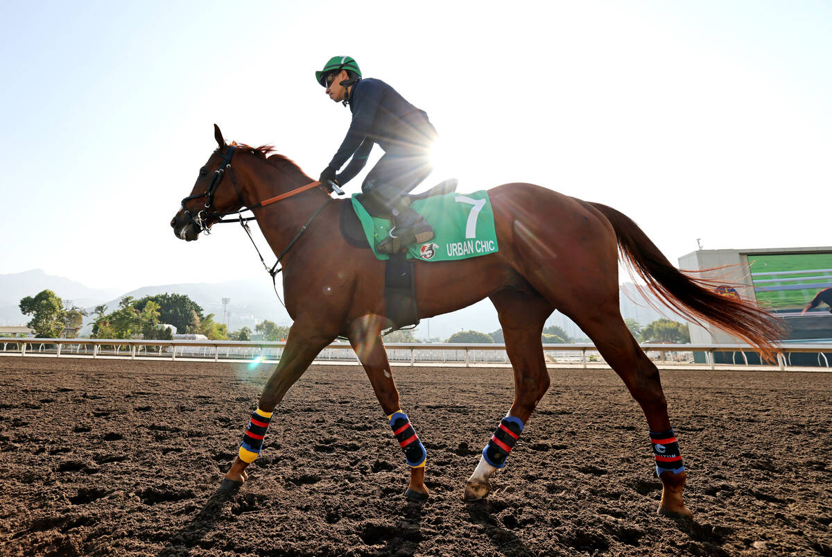 吉田の日曜注目馬【香港4R・香港ヴァーズ】 - UMATOKU | 馬トク
