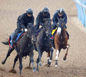 ジャパンカップ1984「カツラギエースの奇跡」〈1〉「日本馬が勝っ
