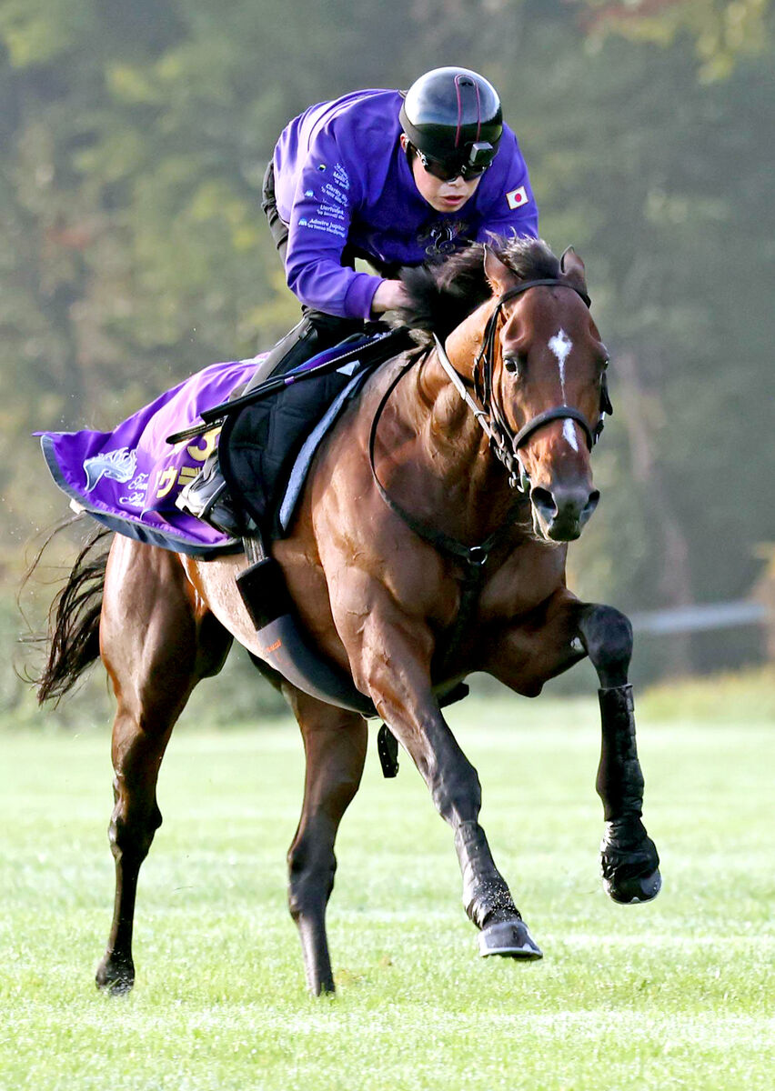 人気SALE，安い ［競馬］ドウデュース（2022年凱旋門賞）応援タオル