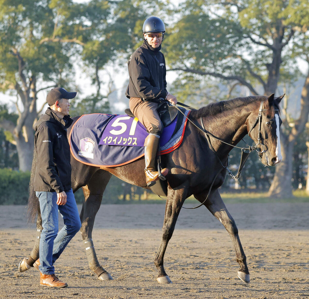イクイノックス】実使用 蹄鉄 鬣 たてがみ 2023ジャパンカップ馬券 ①