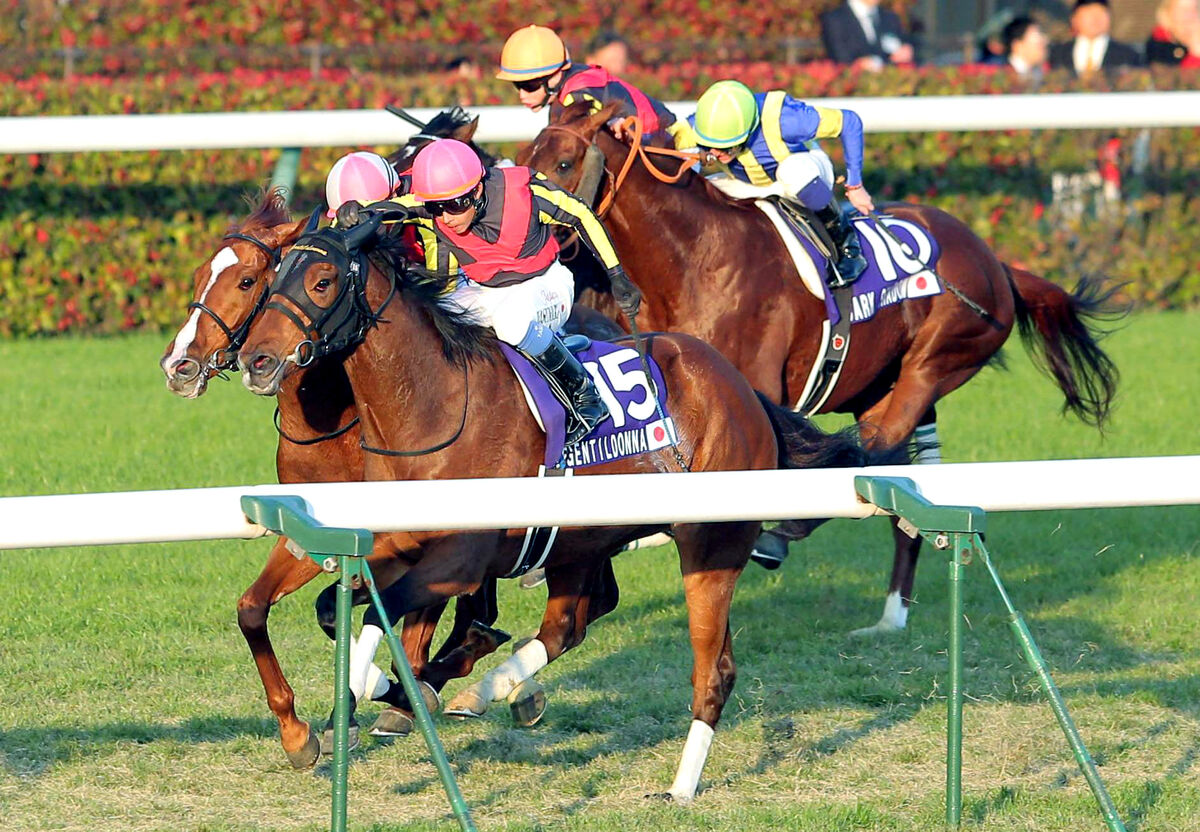 ジェンティルドンナ オルフェーヴル 2012年ジャパンカップ A1ポスター