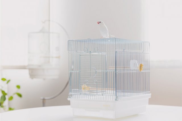 鳥かごについて｜ペット飼育ケージのHOEI｜豊栄金属工業㈱
