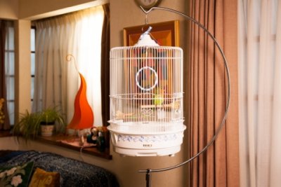 半月スタンド大 ｜商品紹介｜豊栄金属工業株式会社