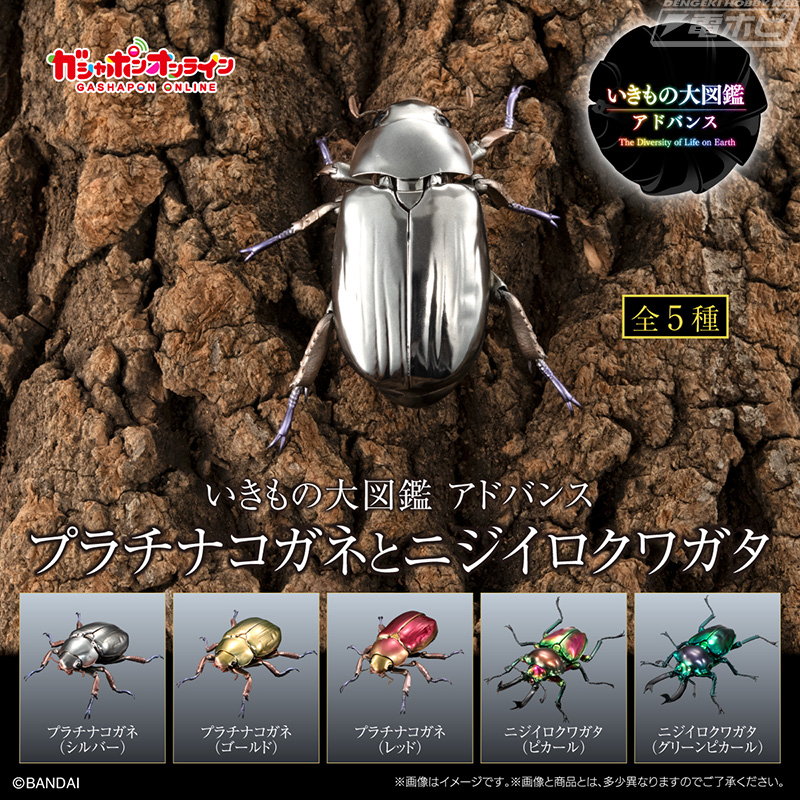 光沢感を徹底再現したプラチナコガネが「いきもの大図鑑アドバンス」で