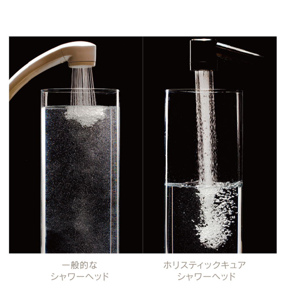 ホリスティック キュア シャワーヘッド シルバー / ホリスティック