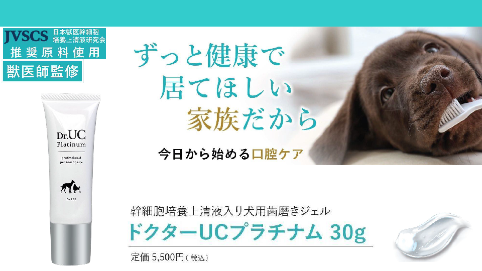 ドクターワンデル 犬用口腔ジェル 歯磨き