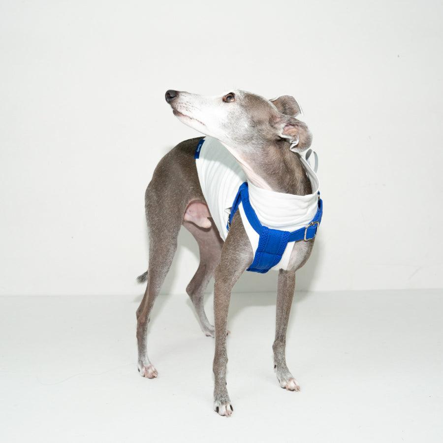 HOWLY UNIVERSAL HARNESS | Howly | シンプルで洗練されたドッグ