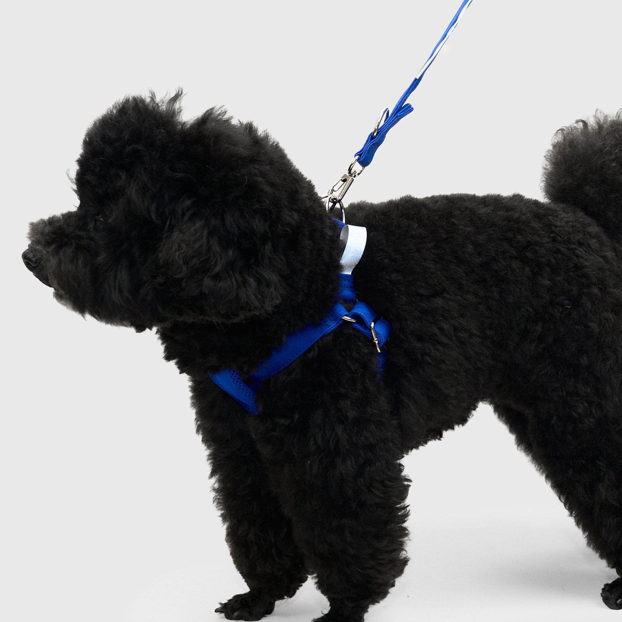 HOWLY UNIVERSAL HARNESS | Howly | シンプルで洗練されたドッグ