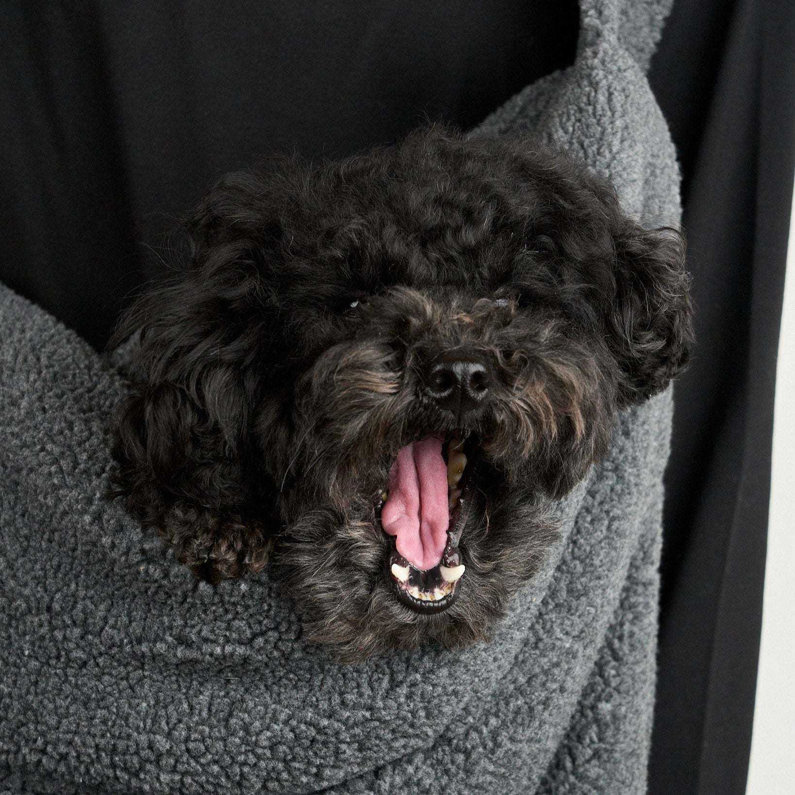 HOWLY PUFF SLING BAG（BOA Edition）｜Howly |3M™ シンサレート™ 高