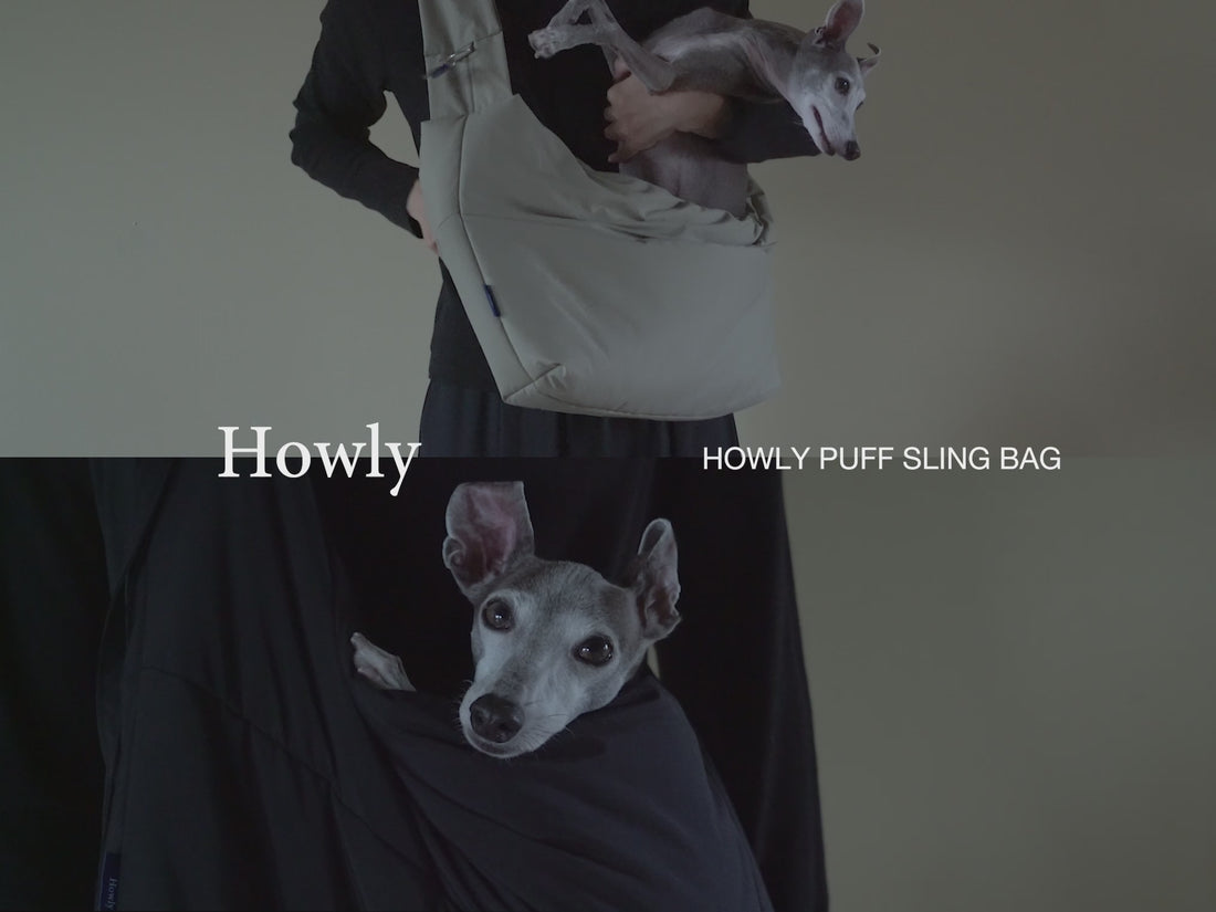 Howly Official Online Shop | New Standard for Dogs | MADE IN JAPAN