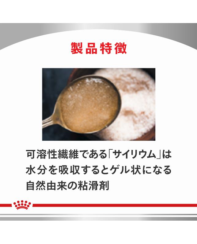 ロイヤルカナン 〈猫用〉 消化器サポート（可溶性繊維）4kg